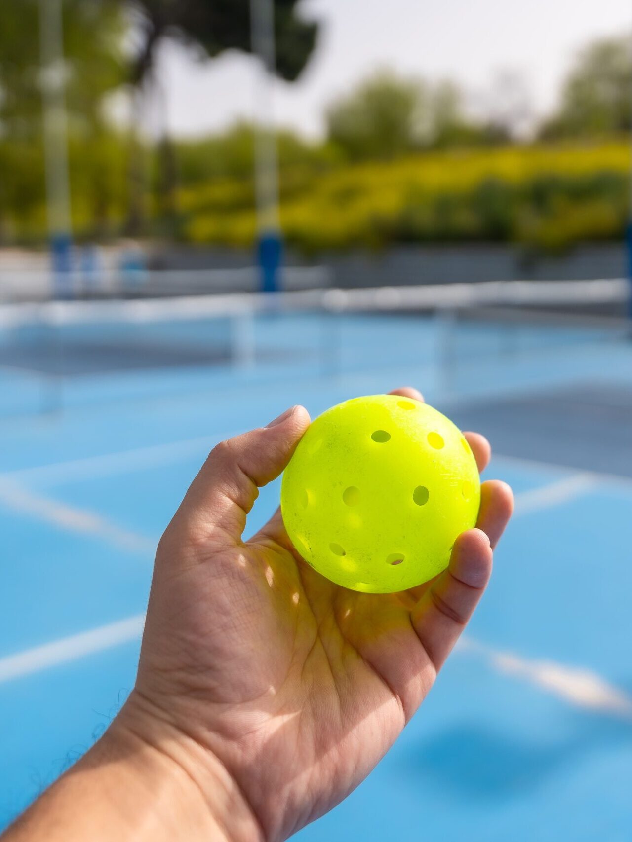 Balle de Pickleball